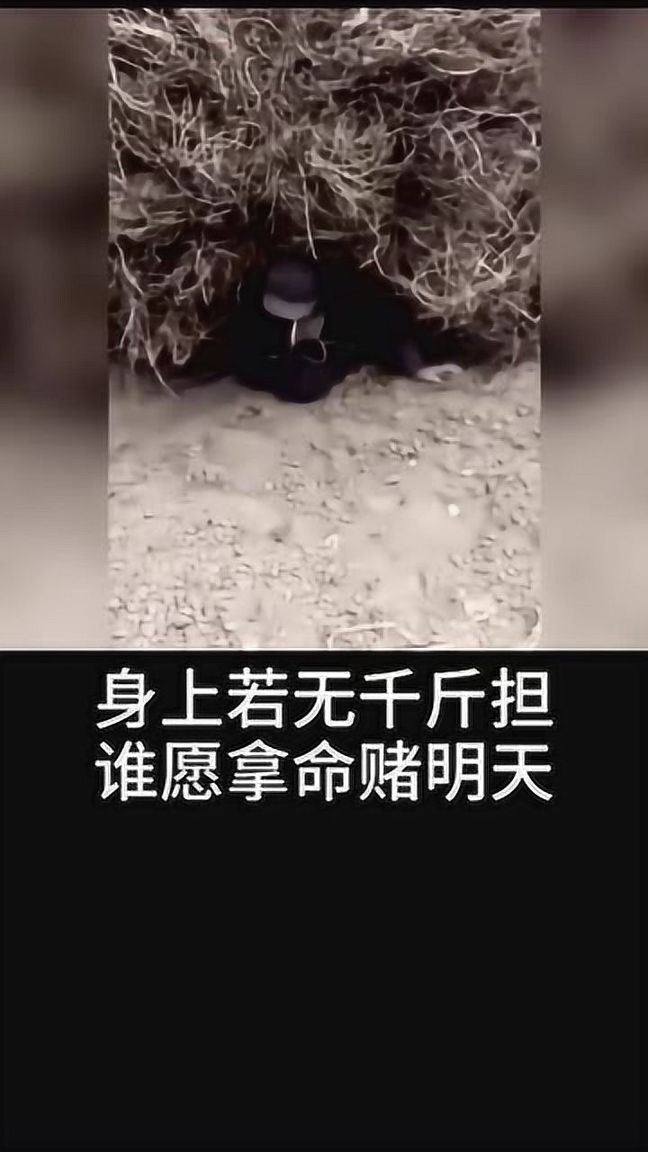 身上若无千斤担谁愿拿命赌明天劳动者都是最美的