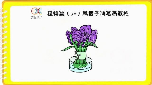 植物篇(32)风信子简笔画教程