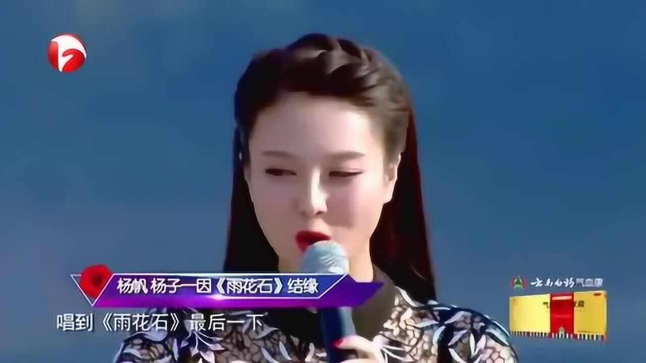 杨子一讲述与杨帆的相识两人因雨花石结缘