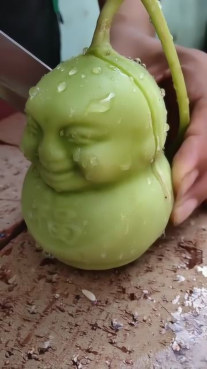 西游记的人参果估计镇元大仙看见了要收你知识产权费