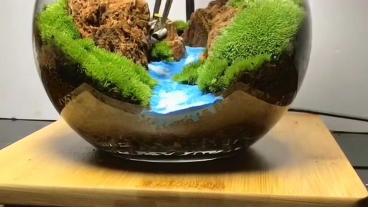 微景观造景让你的家里也有一片森林氧吧而且只属于你哦