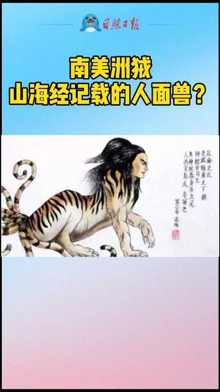 天下之大无奇不有南美洲的濒危野生动物狨神似山海经豹身人面兽