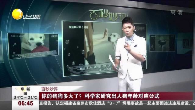 你的狗狗多大了?科学家研究出人狗年龄对应公式