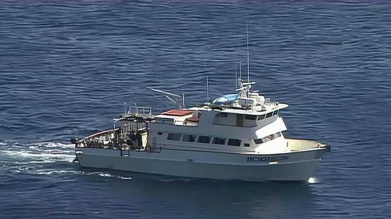 大白鲨猛然袭击象海豹,短短几秒钟血红一片,全程被记录下来!