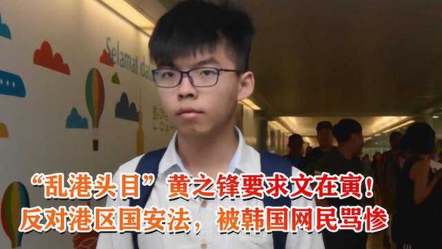 “乱港头目”黄之锋要求文在寅,反对港区国安法,被韩国网民骂惨