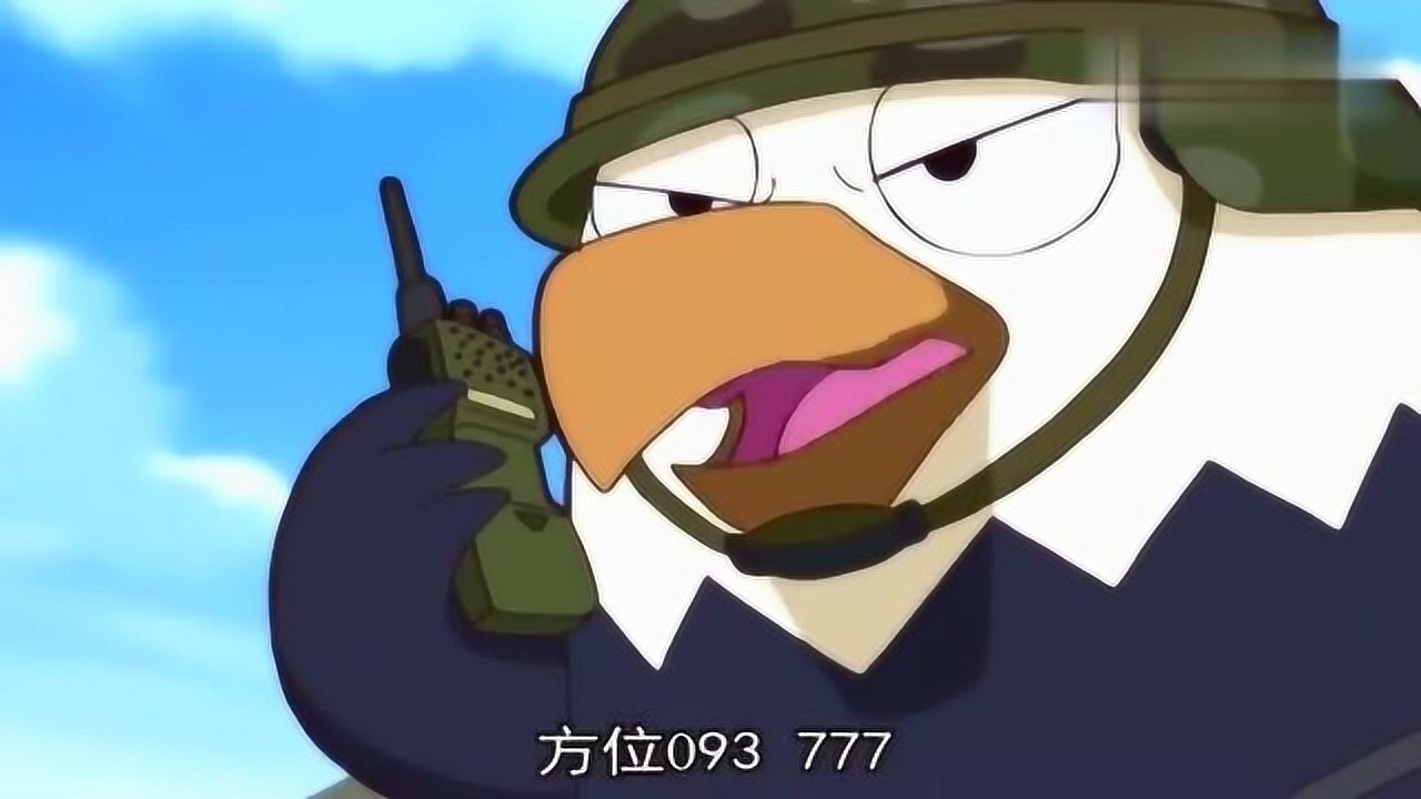 那年那兔那些事儿鹰酱们做了什么让兔子炸毛了非常生气