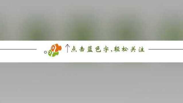 唐河人 这八种情况要向警方申办!河南全省开展户口整顿