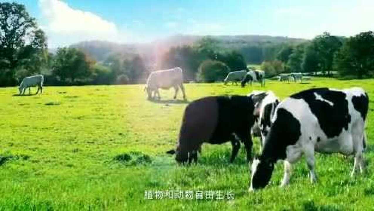 _高清1080P在线观看平台_腾讯视频