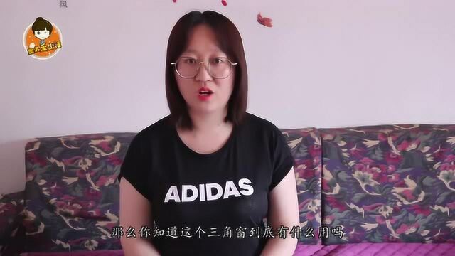 汽车上的三角窗到底有什么用?很多人还不清楚,看完真是涨见识了