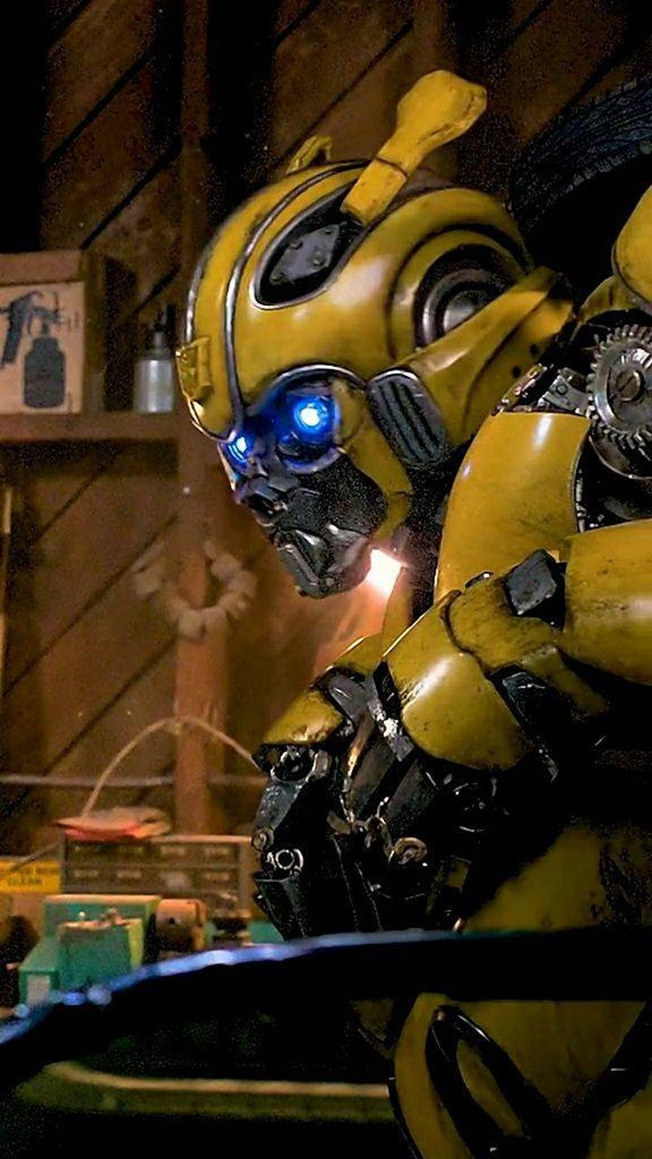 大黄蜂的摸头杀来啦!