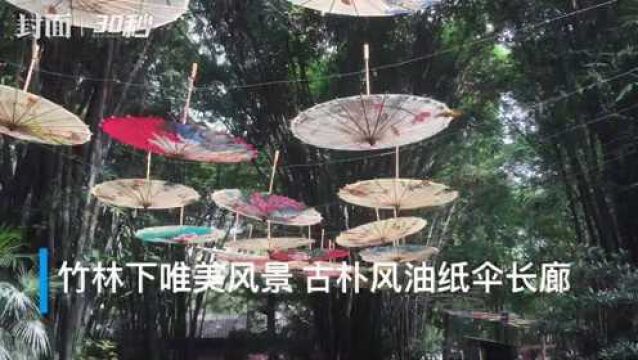 30秒丨竹林中的风景:古风油纸伞撑满长廊