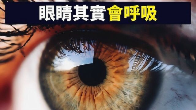 70个你从没听说过的人体秘密