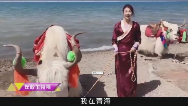 铁岭师专2020云毕业