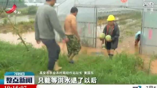 【行动起来 防汛抗洪!】浮梁:暴雨来袭 各地开展农业生产自救