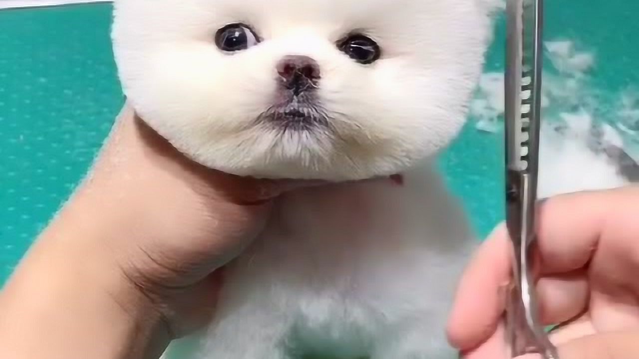 来找我的托尼老师做个造型什么也阻止不了我变美的节奏