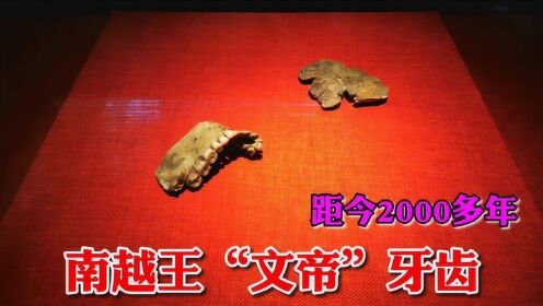 西汉南越王赵眜陵墓，墓室十分阴森，发现墓主人牙齿