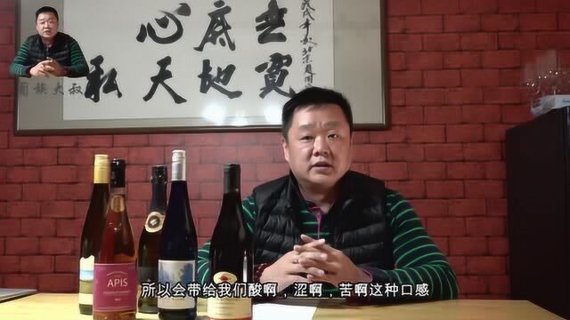 葡族大叔讲解:葡萄酒中的干红