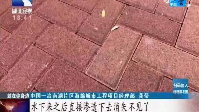 南湖告别“水乡泽国”武汉要“面子”更要“里子”