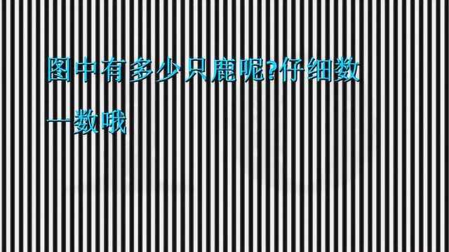 眼力测试:这张图片中藏着一组数字,你试试能够看出来吗?