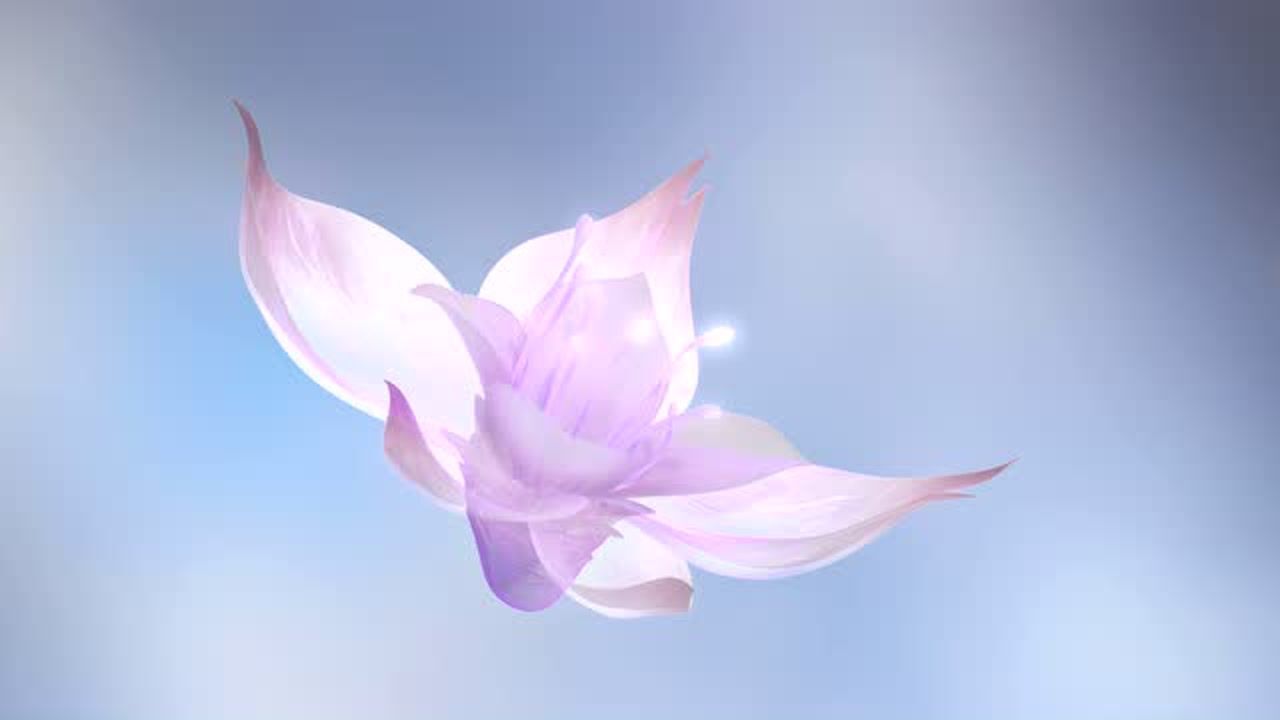 艾欧尼亚漫山的绽灵花你看见了吗召唤师