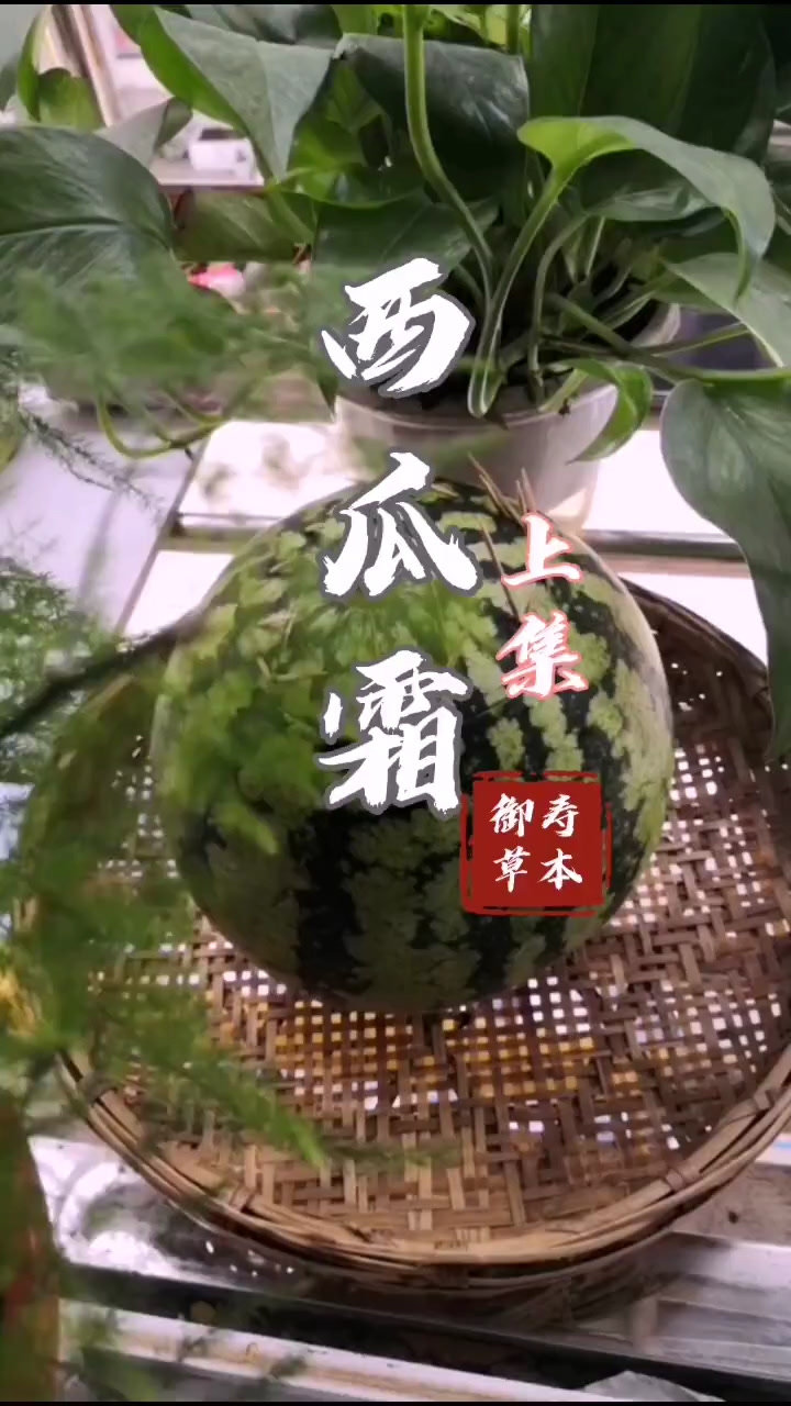 自制西瓜霜能否成功