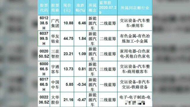 多方消息利好,新能源蓄势待发!19只新能源汽车蓝筹名单出炉