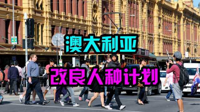 澳大利亚改良人种计划:60年里,从国内绑走近10万个小孩