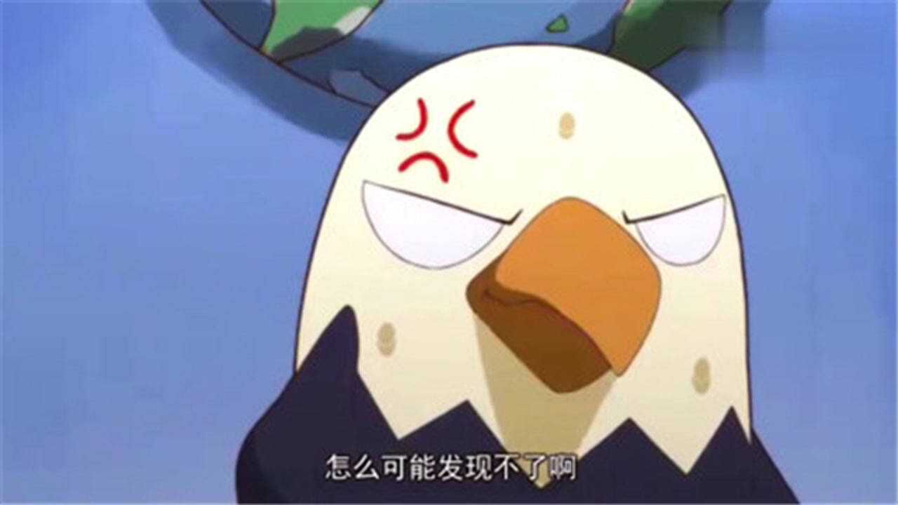 那年那兔那些事鹰酱和兔子互相商量秘书长人选结果最后选出了个猴子