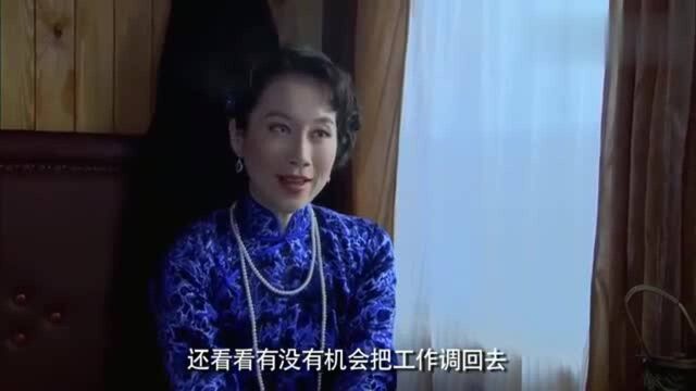 女人的抗战:女特工魅力十足,一个优雅的动作,就征服了日本科长