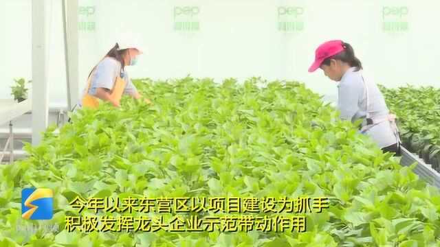 39秒丨7个项目集中开工!东营区加快项目建设提升园区综合承载力