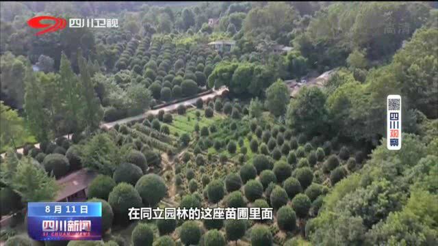 四川新闻丨关注中小微⑨:“那些花儿”还好吗?