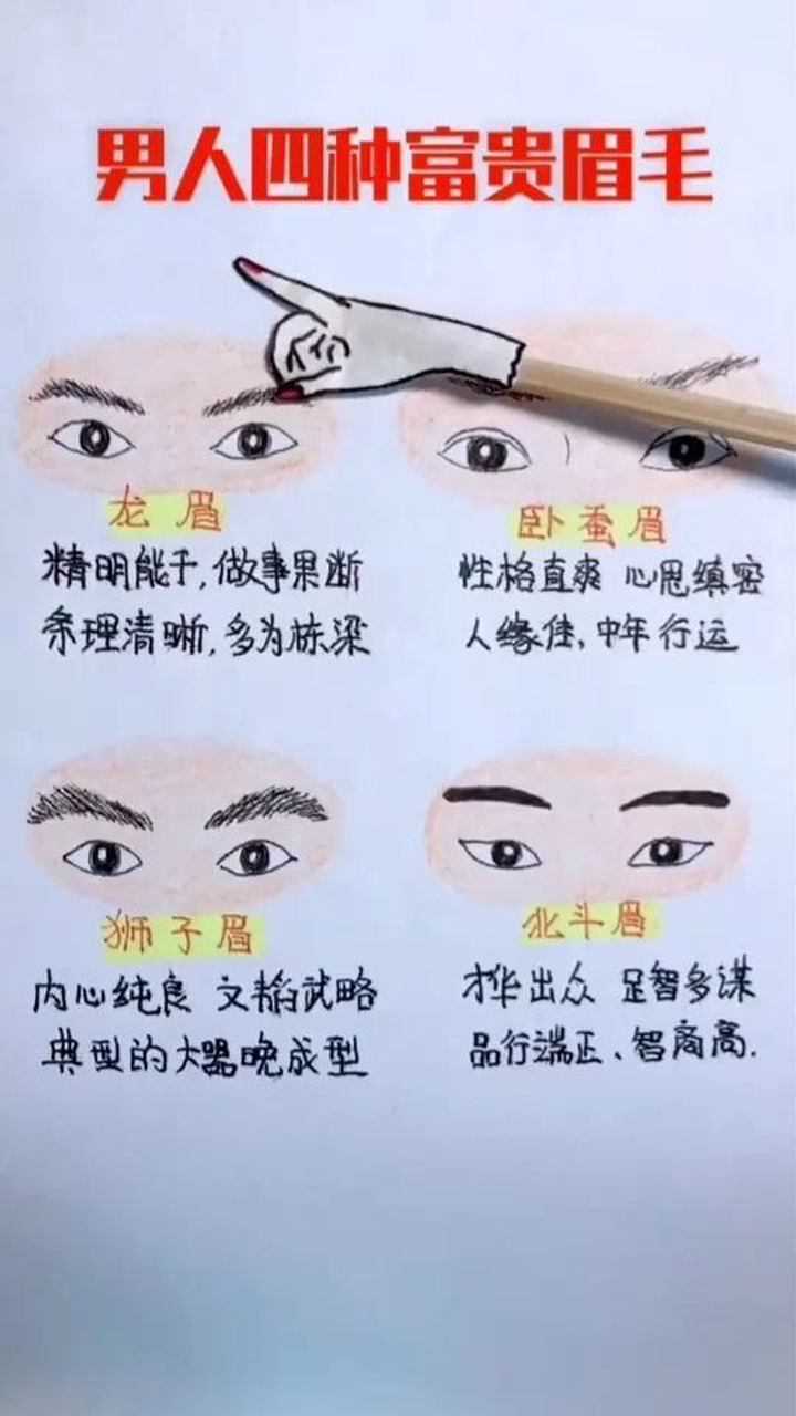 男人四种富贵眉毛看看你是哪种