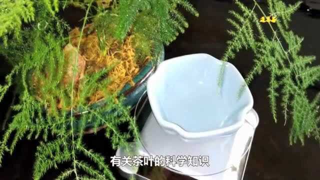 茶养道课堂:传奇茶人《2》陆羽《茶经》至今仍被爱茶人奉为经典