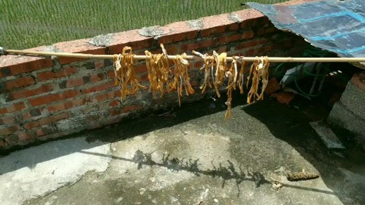 辛苦晒的笋干发霉了丢掉太可惜有办法挽回损失吗