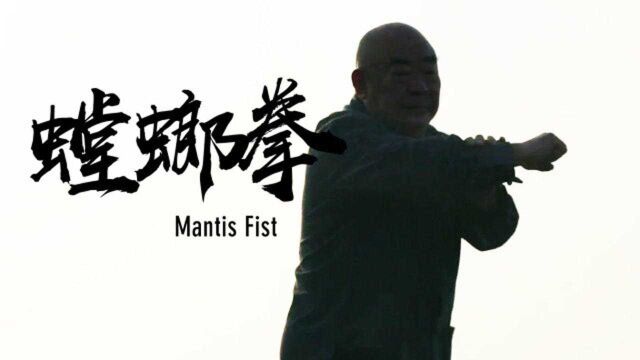 螳螂拳:习武树人 勇往直前