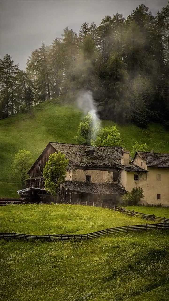 记忆中的小草屋现在已经回不去了太遥远了