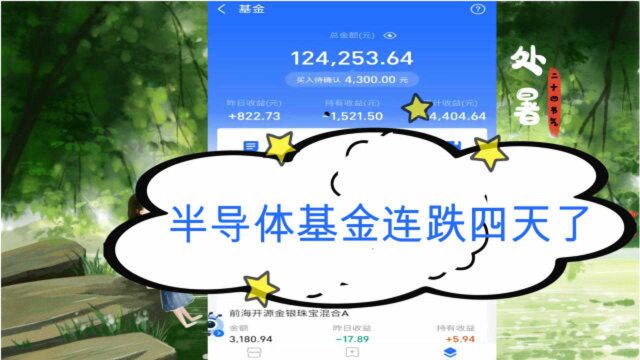 支付宝基金昨天收益822 重仓的诺安已经连跌四天赔的最多