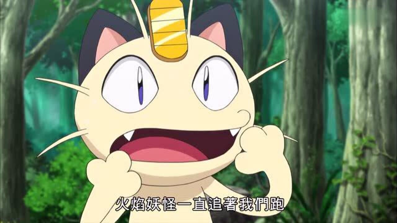 精灵宝可梦火箭队被爆炸声吵醒喵喵再次说明梦中的事情