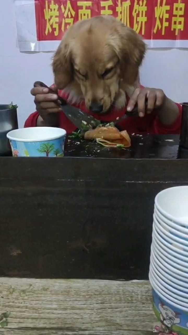 狗头先生,烤个冷面吃!