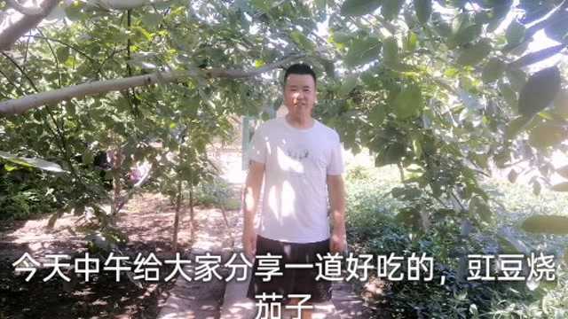 豇豆烧茄子这样做,鲜香爽口,大鱼大肉都不换