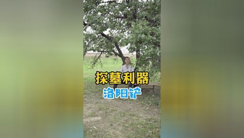 树大招风，坟大招铲