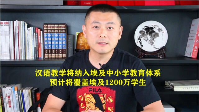 汉语教学将纳入埃及中小学教育体系,预计将覆盖埃及1200万中小学生