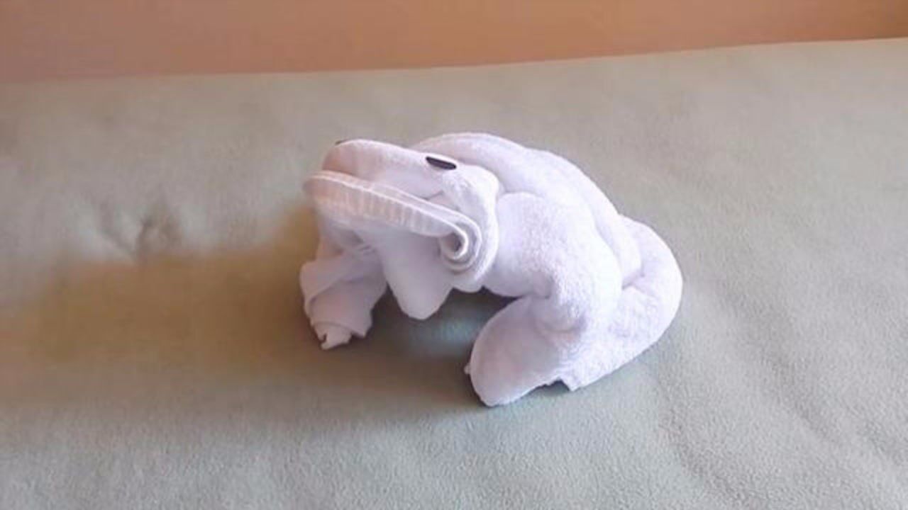 浴巾叠动物教程图片图片