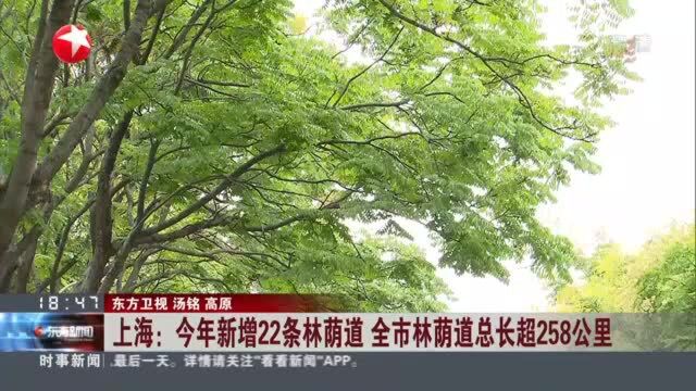 上海:今年新增22条林荫道 全市林荫道总长超258公里