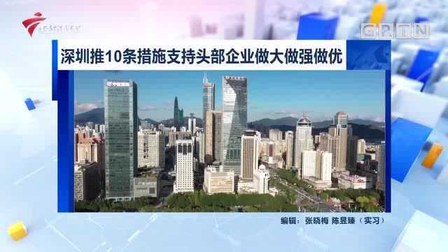 深圳推10条措施支持头部企业做大做强做优