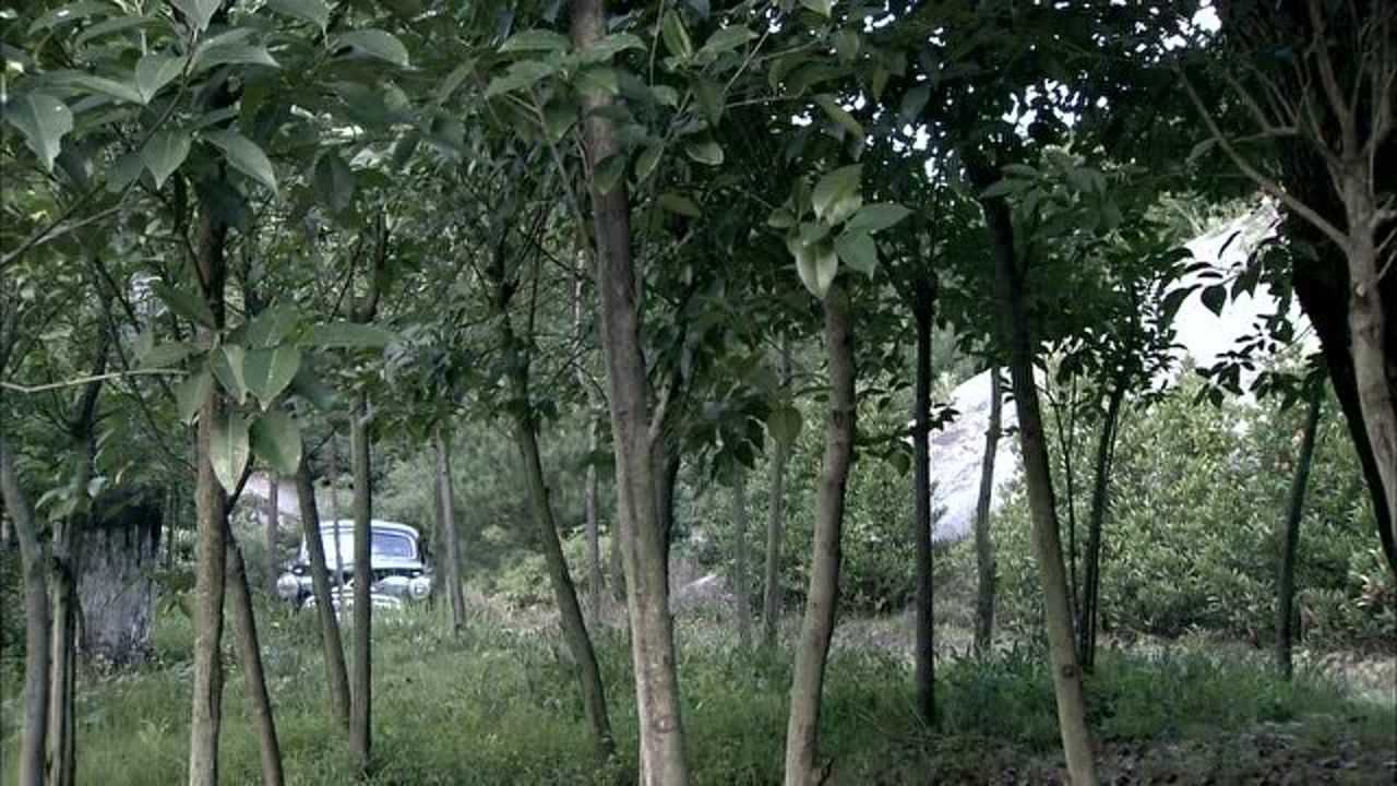 风影冉华通知国民党派人接宁鹏飞谁知来的人是老同学徐鲁