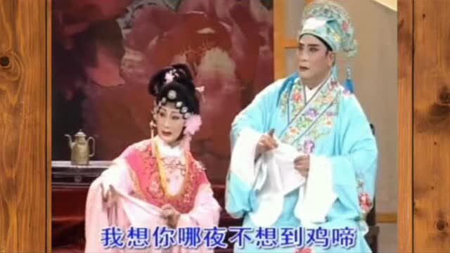 淮剧名家名唱 《梁祝》选段 演唱:陈德林 黄素萍