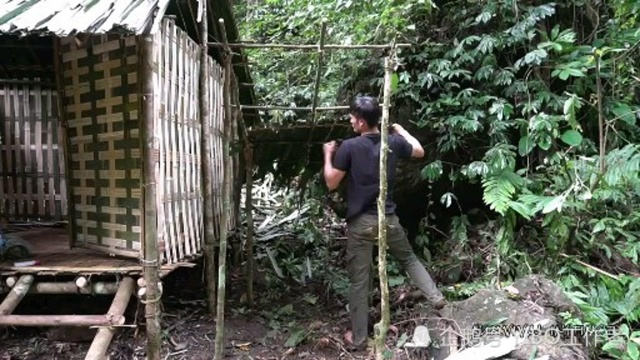 第4集,热带雨林生存本能:独自与苛刻的荒野作战