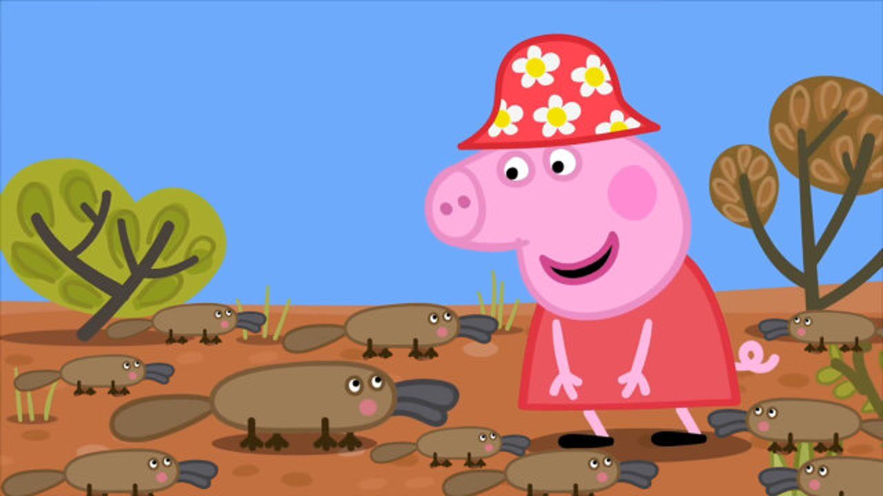 小猪佩奇最新第八季 发现很多可爱的鸭嘴兽 简笔画