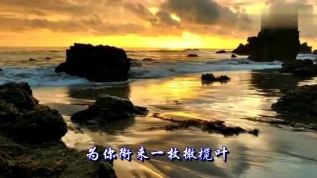 董文华两首经典歌曲《今天是你的生日》《春天的故事》旋律优美